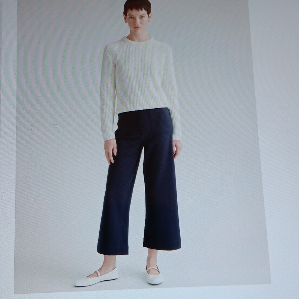 Quince Ultra Stretch Navy Ponte Cropped Wide Leg Pant Size 6 New With Tags